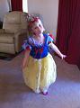 Various Pics 006